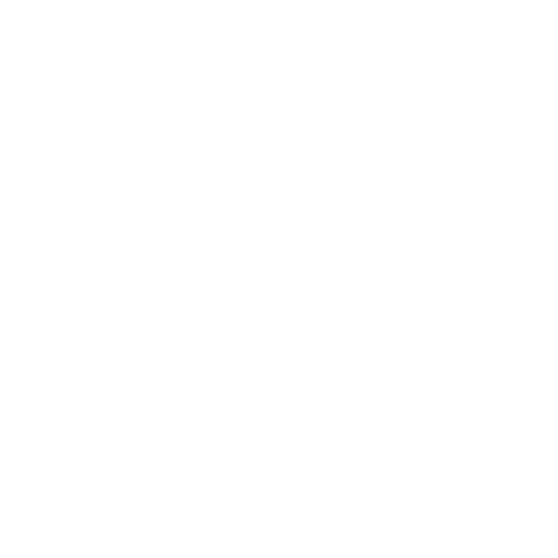 software repair computer gurus